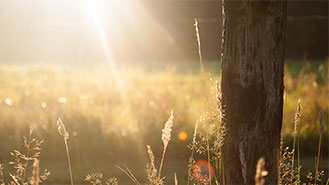 轰炸电话在线使用