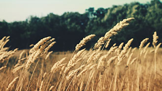 一秒发1000条手机号的软件